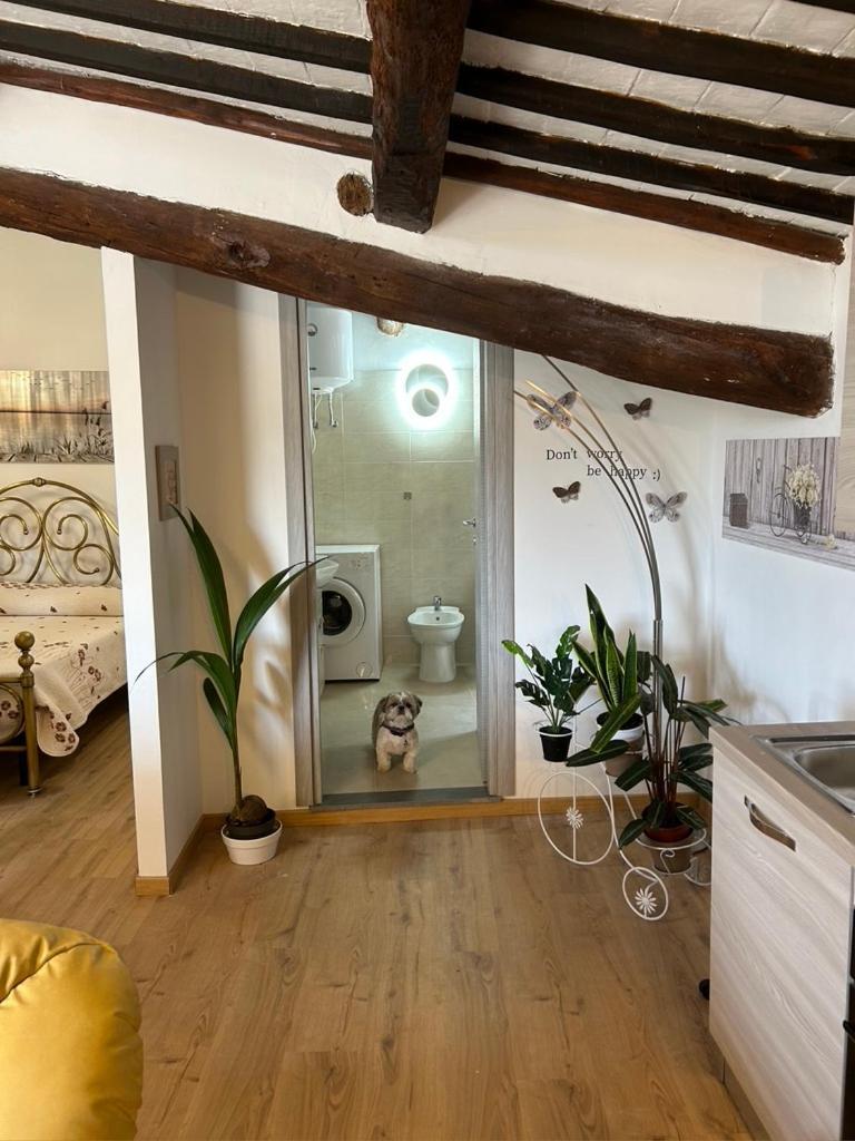 Bagnoregio Apartment You&Me Εξωτερικό φωτογραφία